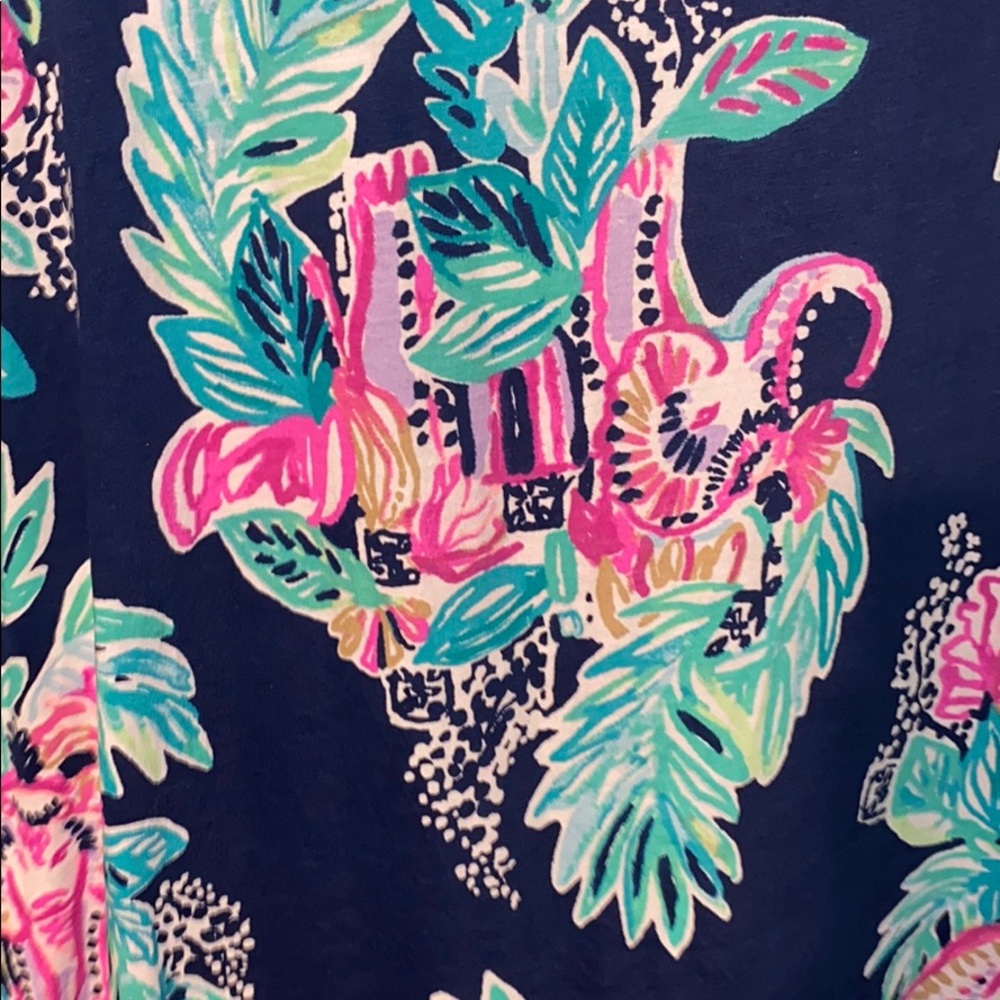 Lilly Pulitzer Raylee dress - Picture 4 of 5